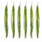 Pack of 6 x 100cm Artificial Trailing Rhipsalis Style Hanging Plant - Dark Green Tips - Premium Quality-0