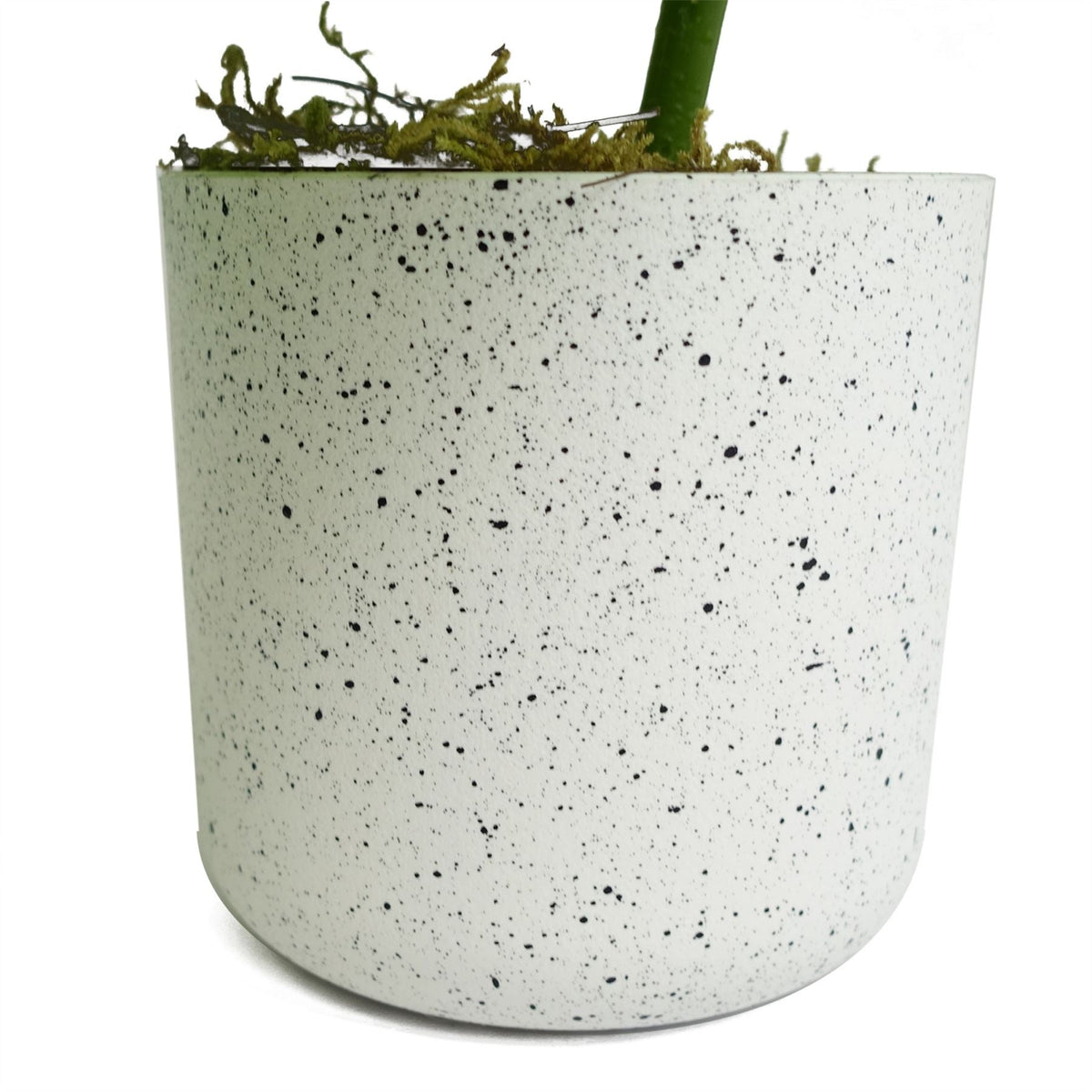 30cm Artificial Green Potted Monstera Trailing Plant-2