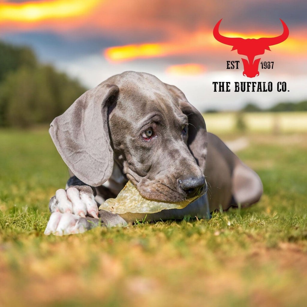 Buffalo Ears - Dog Treats - 50 Ears-2