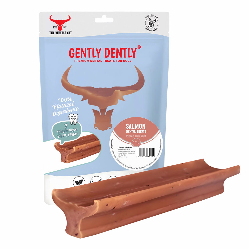 Gently Dently- Salmon Dental Treats for Dogs 175g-0