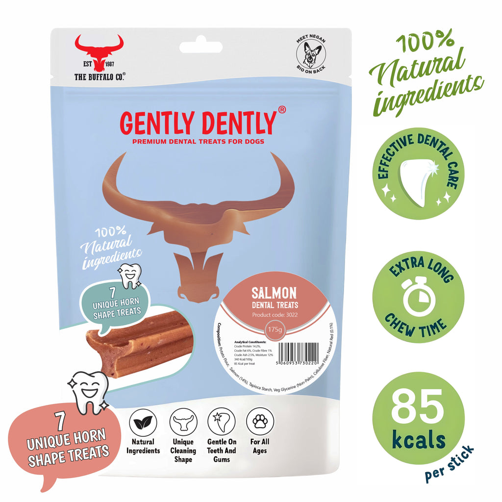 Gently Dently- Salmon Dental Treats for Dogs 175g-1