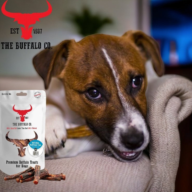 Buffalo Tail - Dog Treats-2
