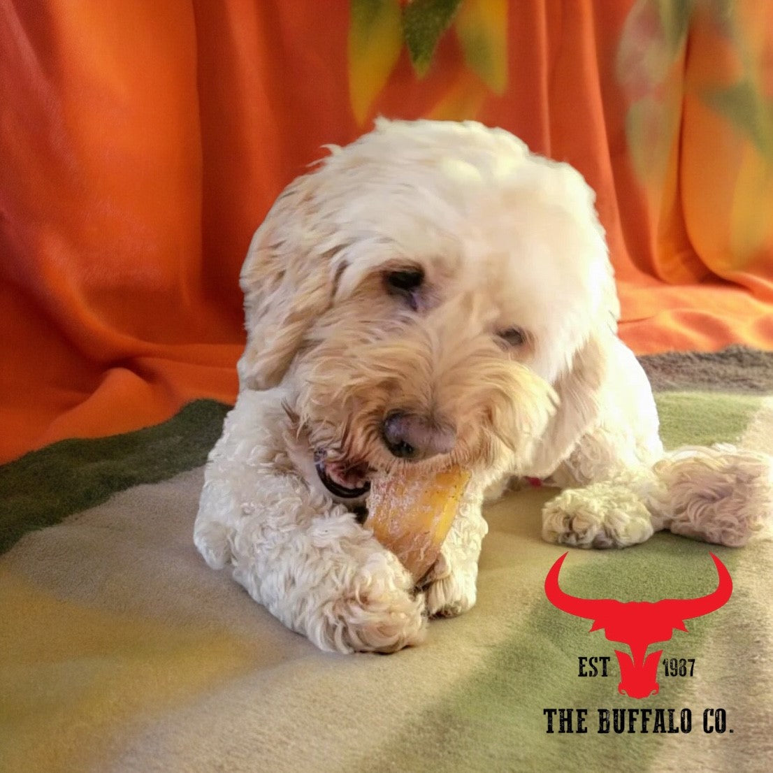 Buffalo Paddywack - Dog Treats - 1kg-1